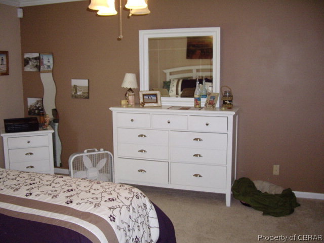 733 Dragon Road Church View, VA 23032 - Photo 20 of 23 MASTER BEDROOM