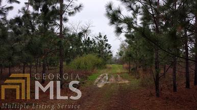 0 L B Hall Road Garfield, GA 30425 - Photo 1 of 1 Gallery Image 1