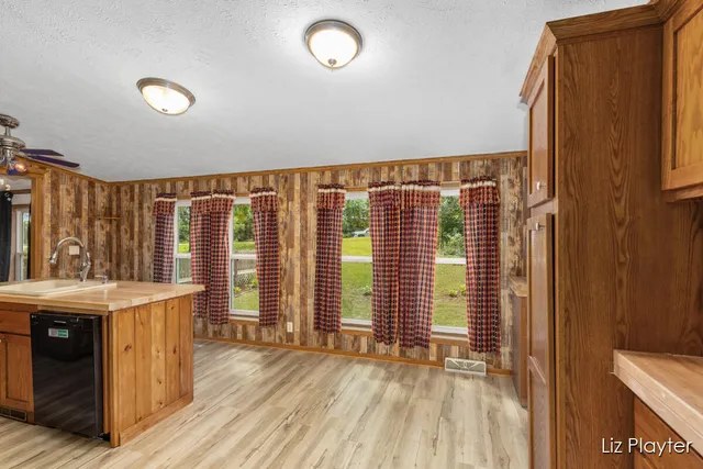 $199,900 | 3079 East Bluewater Highway, Ionia, MI 48846