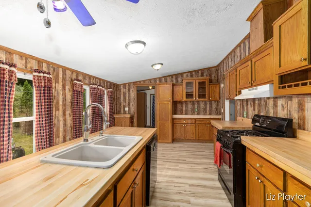 $199,900 | 3079 East Bluewater Highway, Ionia, MI 48846