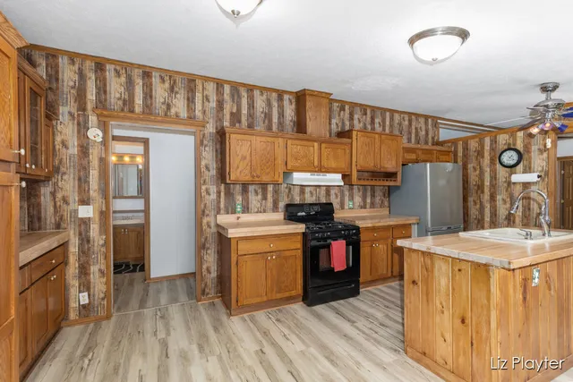 $199,900 | 3079 East Bluewater Highway, Ionia, MI 48846