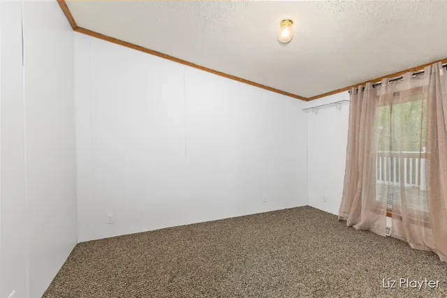 $199,900 | 3079 East Bluewater Highway, Ionia, MI 48846