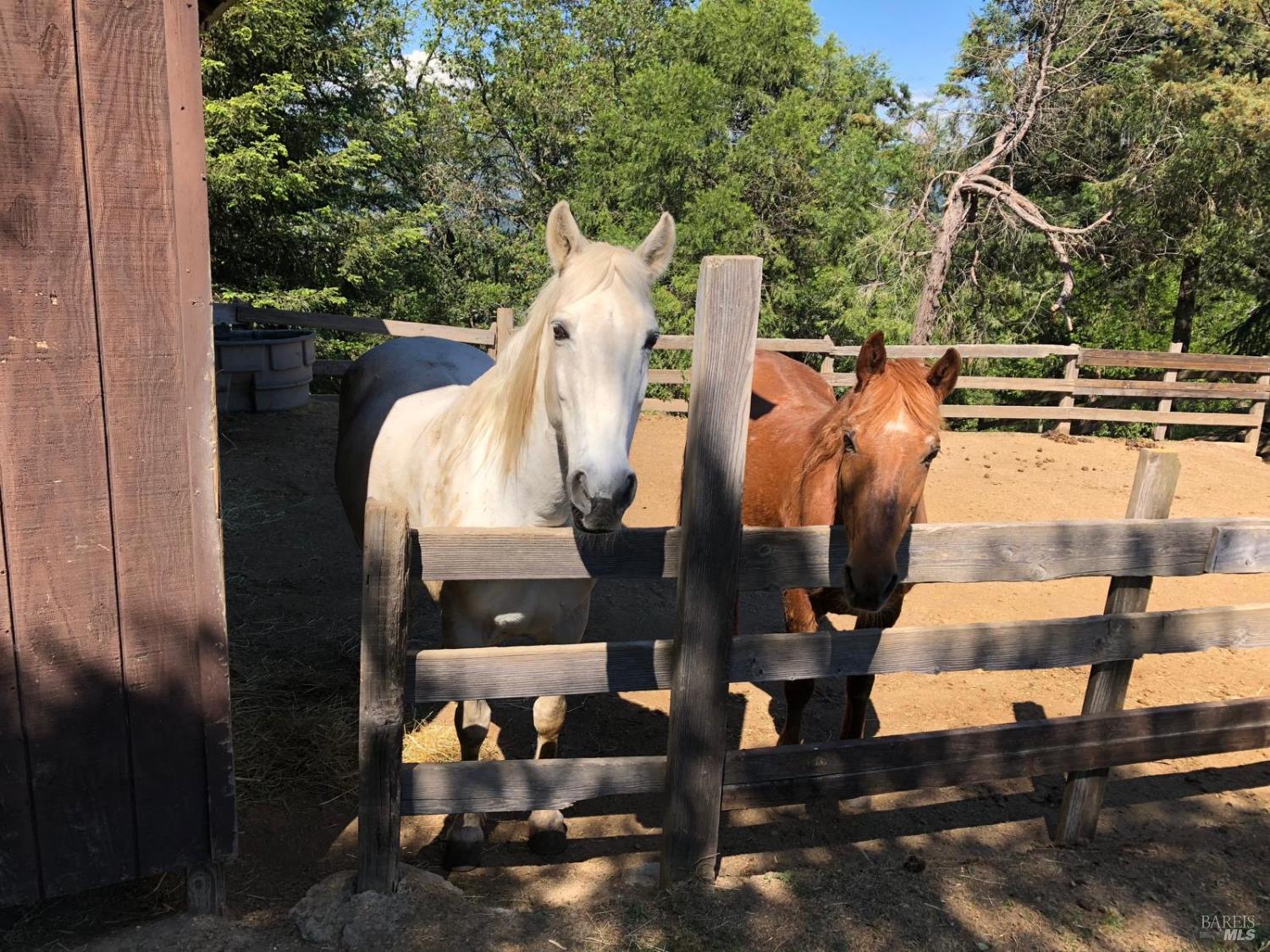 1411 Oak Knoll Road Ukiah, CA 95482 - Photo 31 of 45 a view of balcony