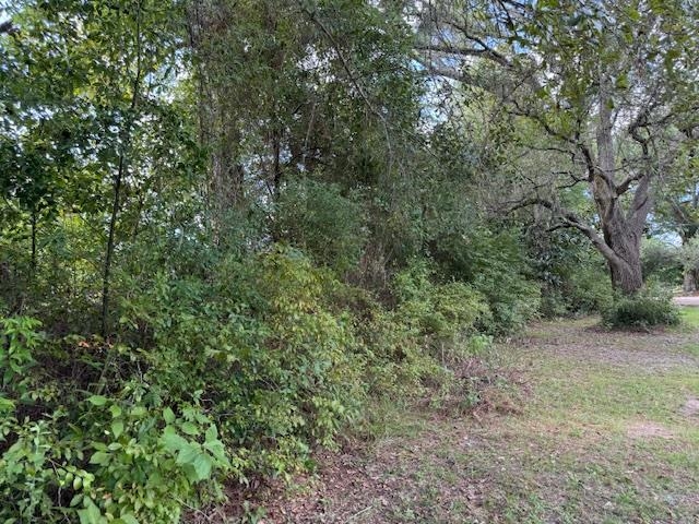25328 Lavinia Avenue Elberta, AL 36530 - Photo 7 of 9 View