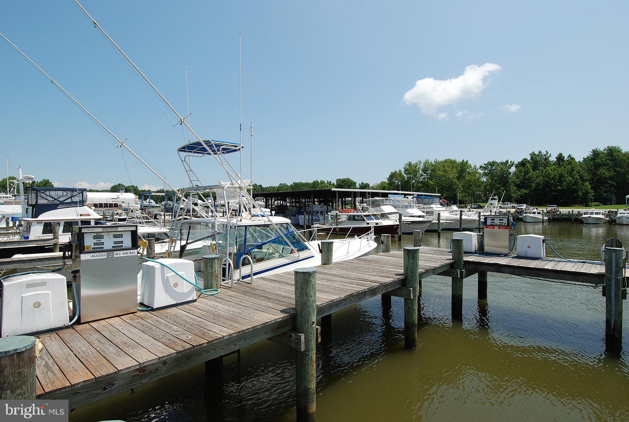 211 Ackerman Road Stevensville, MD 21666 - Photo 66 of 67 Gallery Image 66