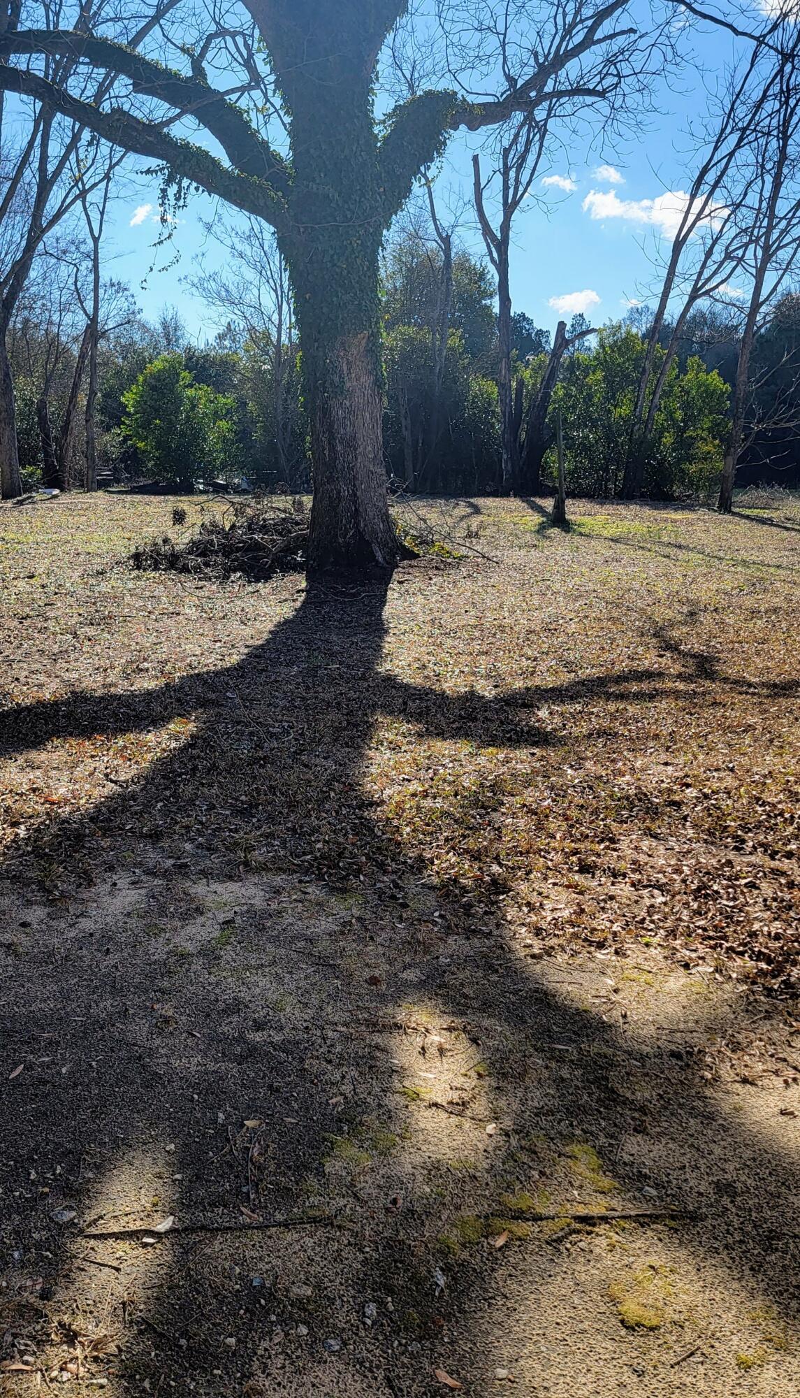 0 Old Waynesboro Road Keysville, GA 30816 - Photo 7 of 9 Front