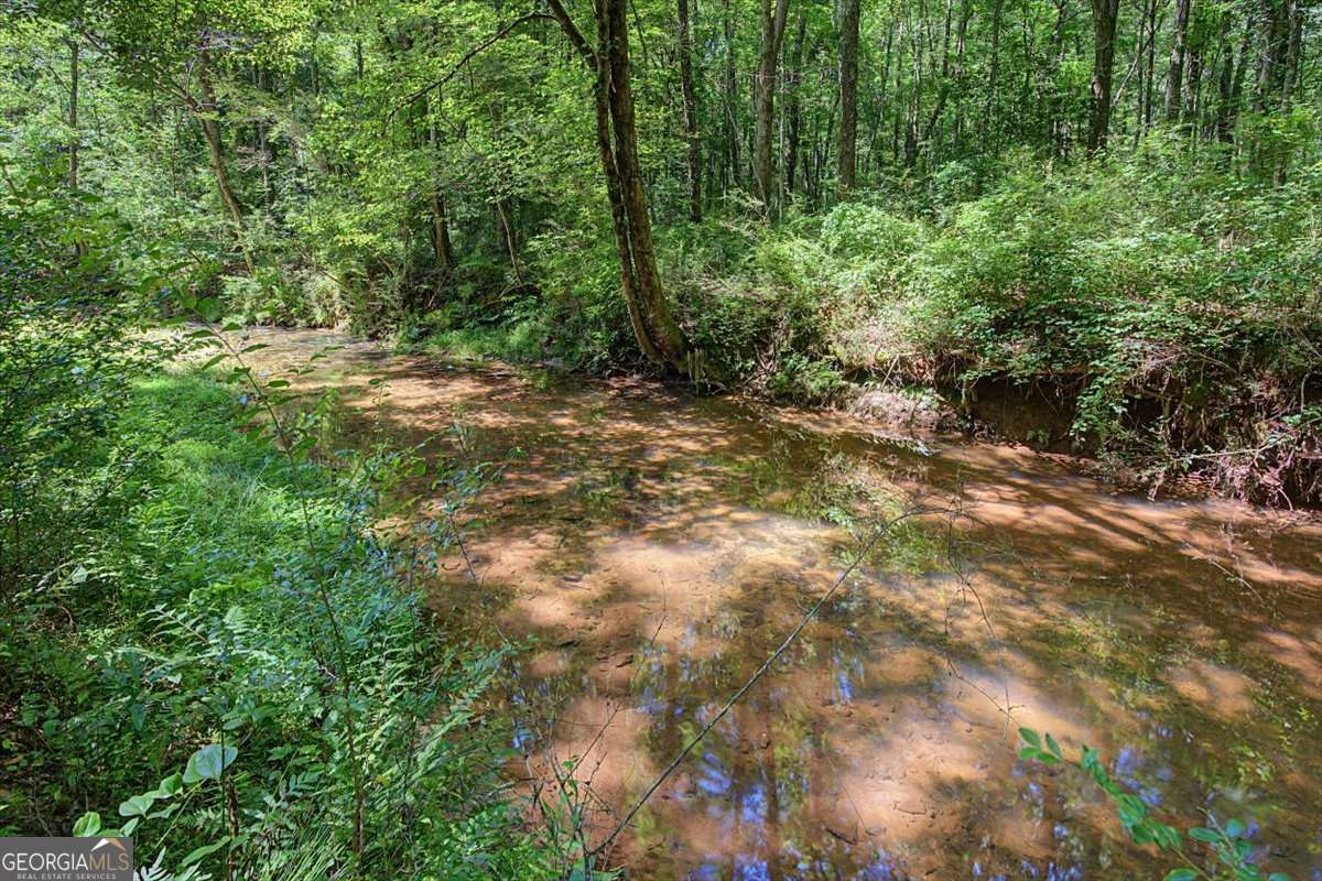1381 Star Point Road Carrollton, GA 30116 - Photo 49 of 56