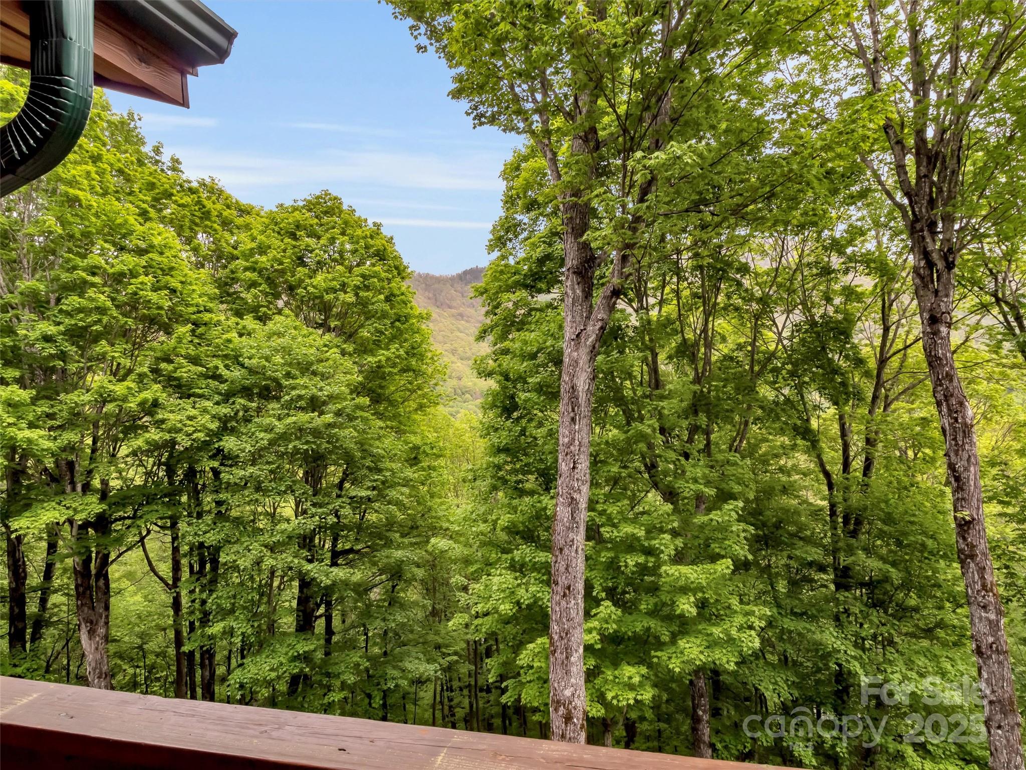 421 Ramp Patch Lane Waynesville, NC 28786 - Photo 40 of 48 Gallery Image 40