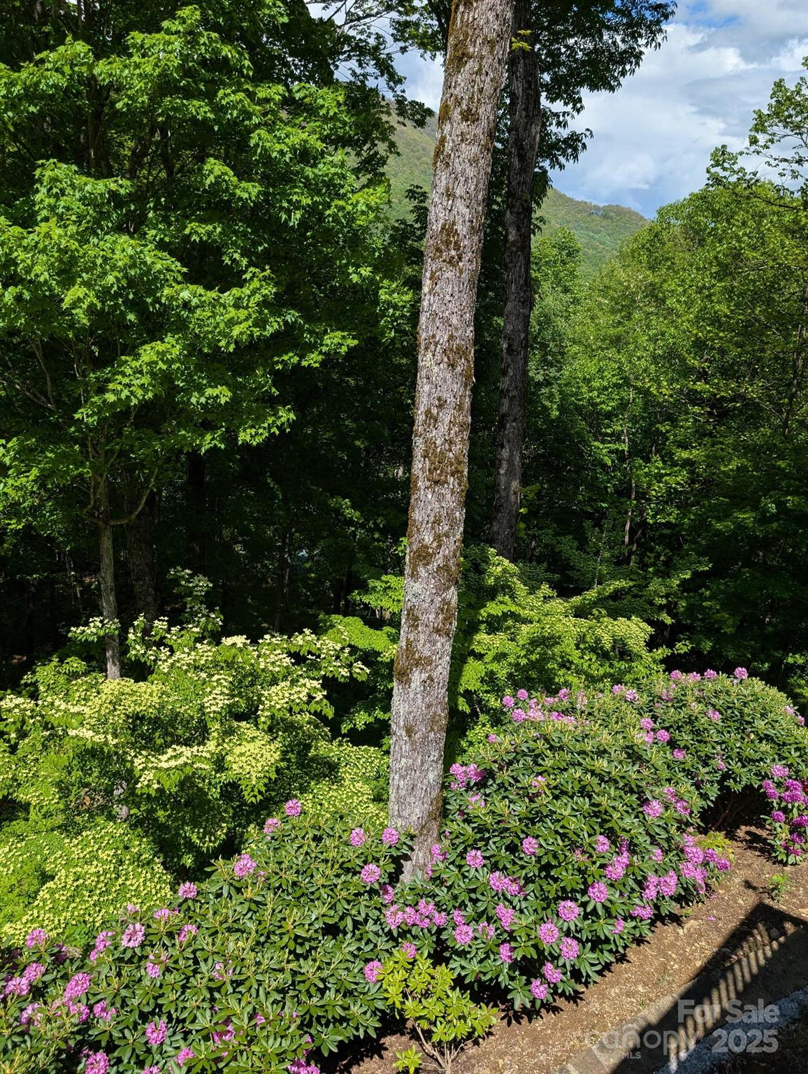 421 Ramp Patch Lane Waynesville, NC 28786 - Photo 42 of 48 Gallery Image 42