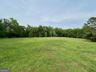 0 Bethany Road Madison, GA 30650 - Photo 14 of 21