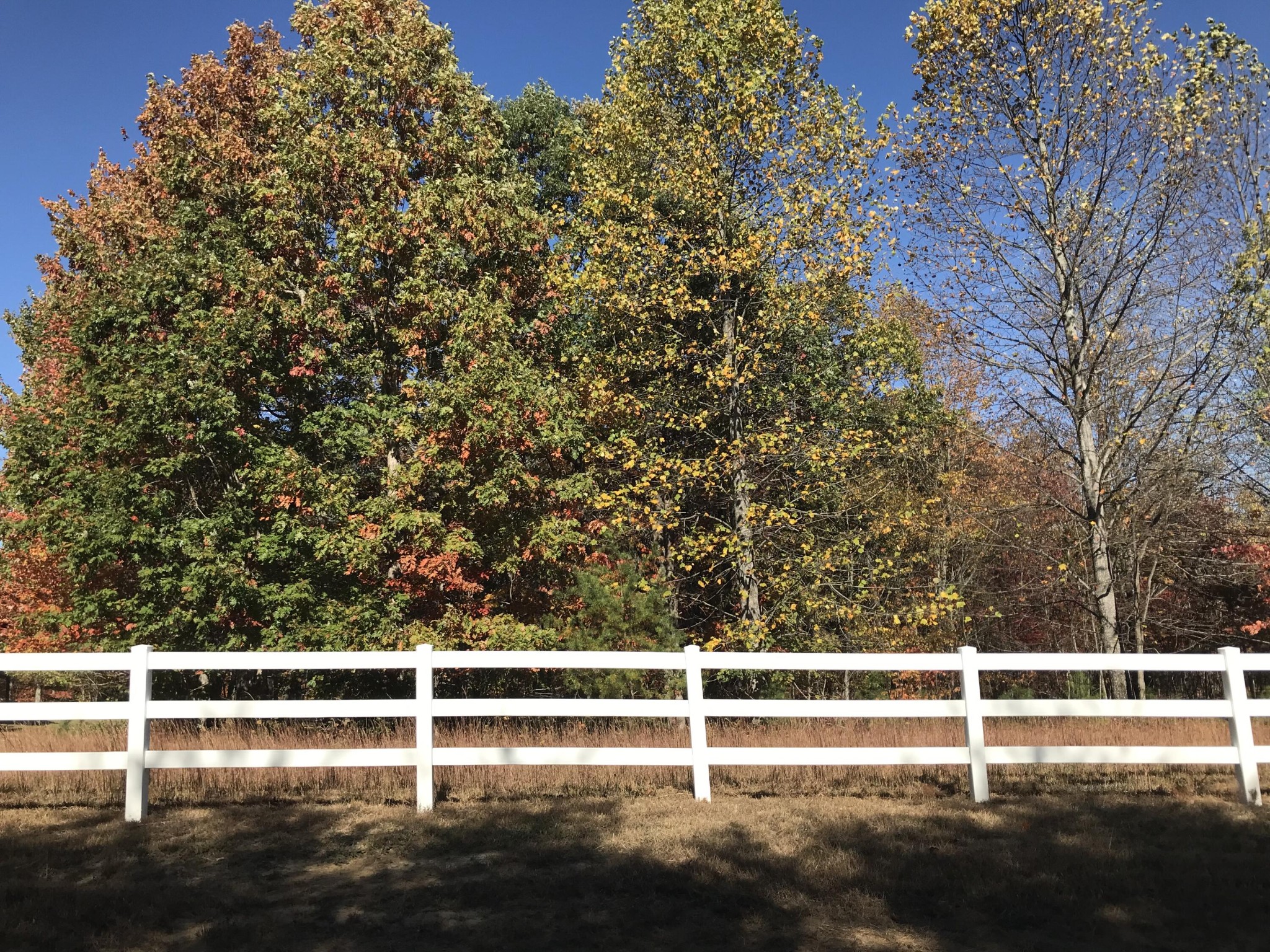 517 Hobbstown Road Dunlap, TN 37327 - Photo 11 of 22 Gallery Image 11