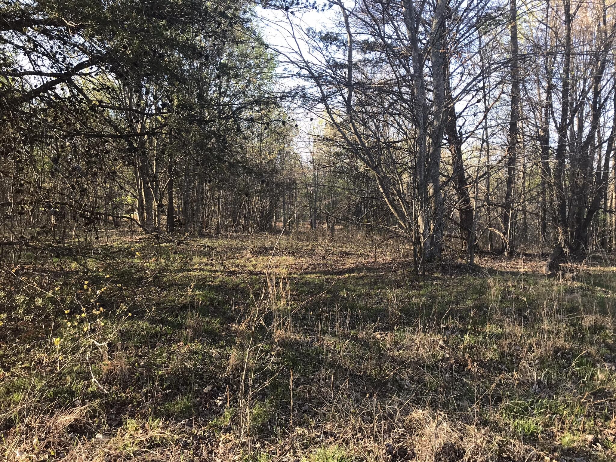 517 Hobbstown Road Dunlap, TN 37327 - Photo 13 of 22 Gallery Image 13