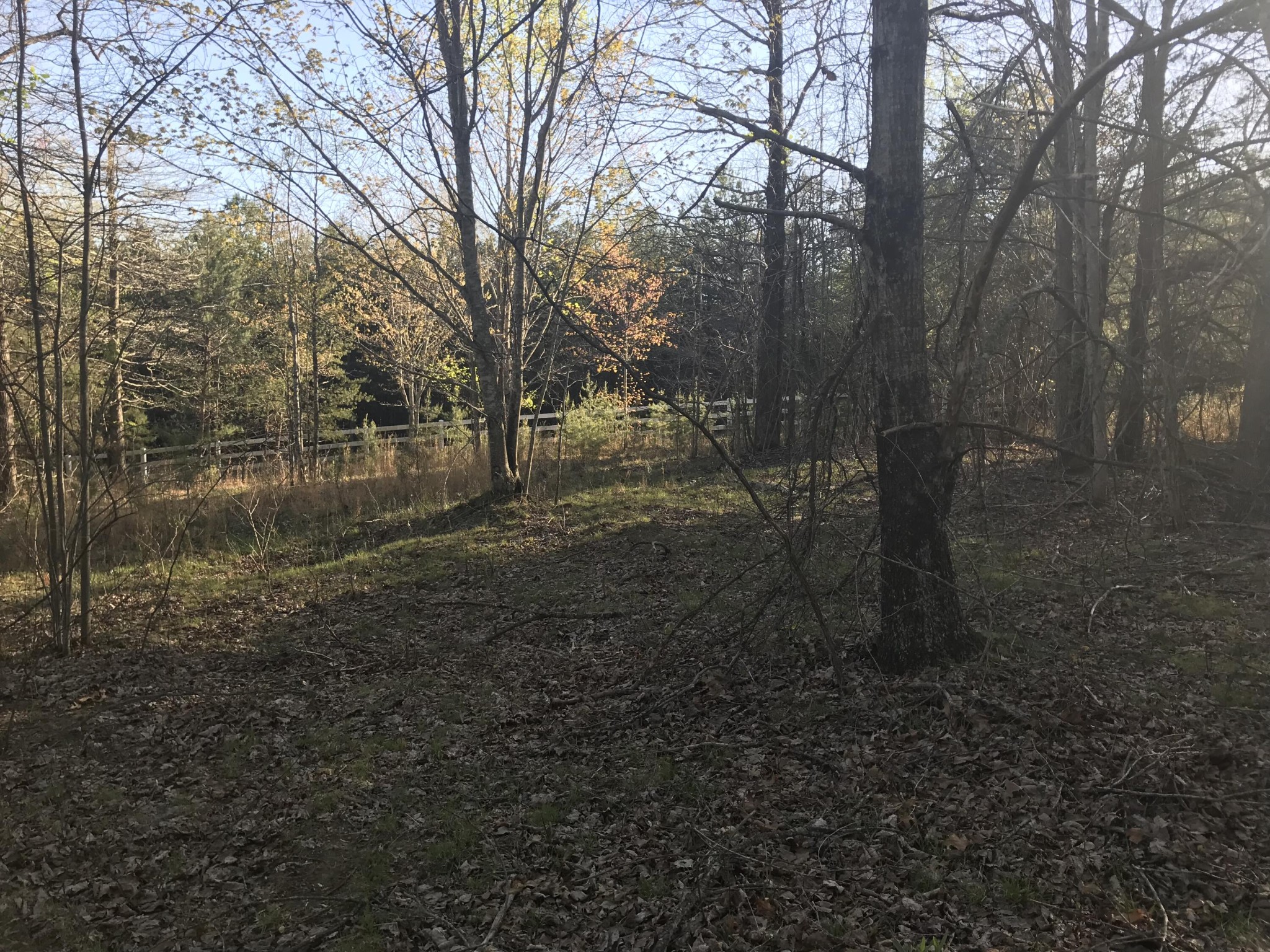 517 Hobbstown Road Dunlap, TN 37327 - Photo 16 of 22 Gallery Image 16