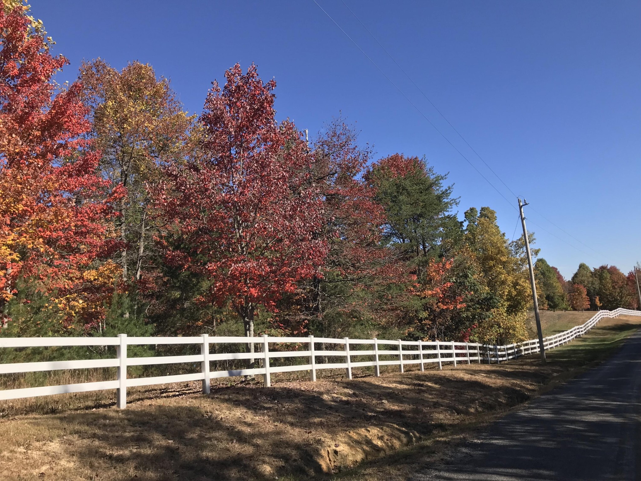 517 Hobbstown Road Dunlap, TN 37327 - Photo 4 of 22 Gallery Image 4
