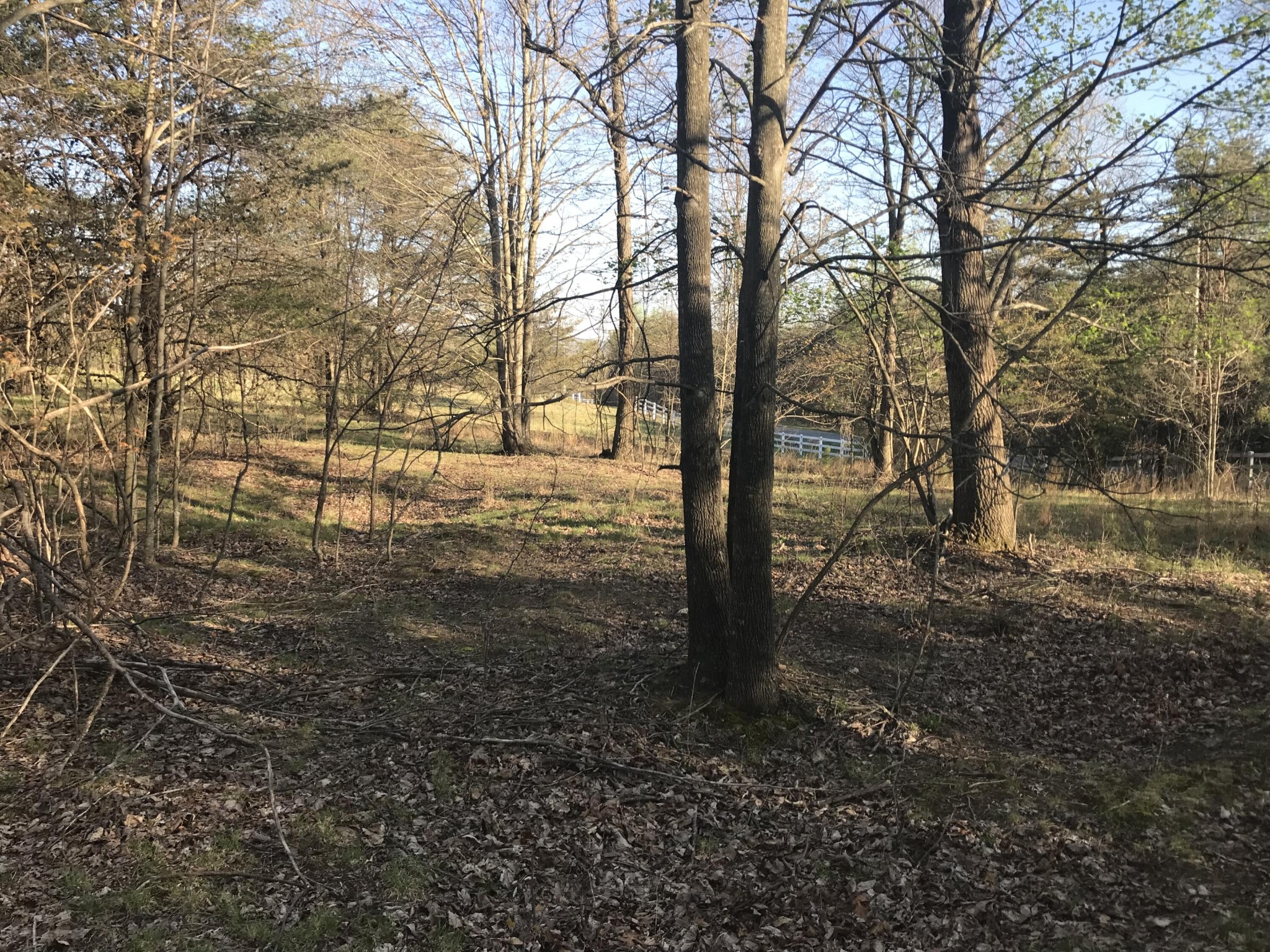 517 Hobbstown Road Dunlap, TN 37327 - Photo 6 of 22 Gallery Image 6