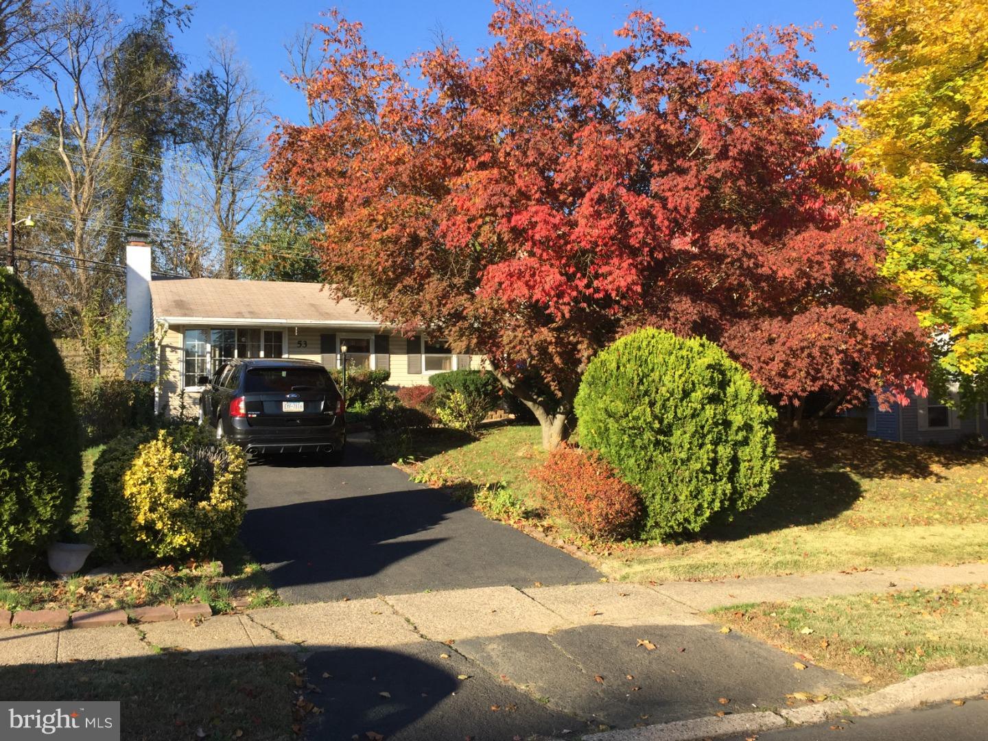 53 Terrace Road Levittown, PA 19056 - Photo 2 of 24 Front Yard