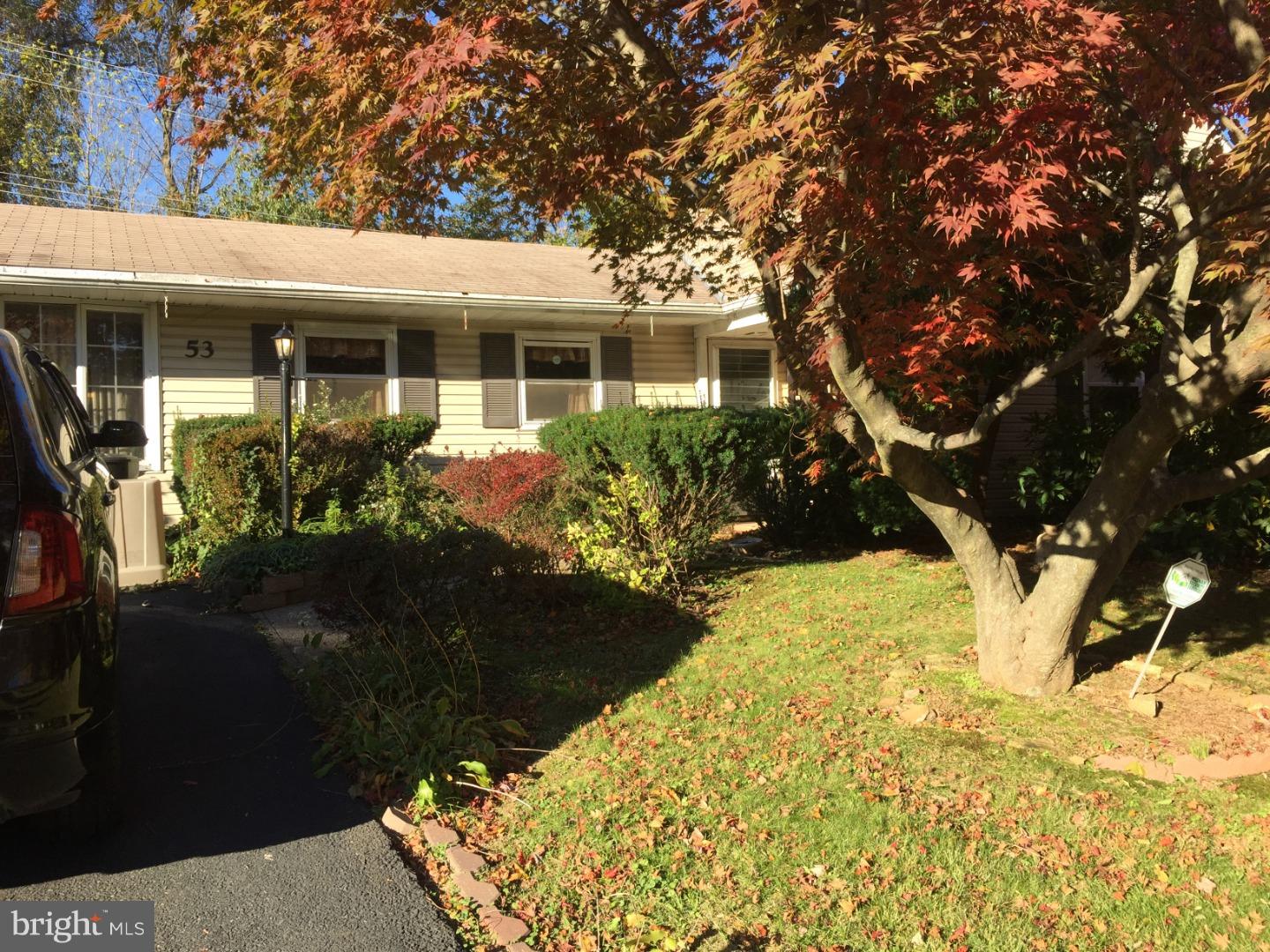 53 Terrace Road Levittown, PA 19056 - Photo 3 of 24 Front Yard