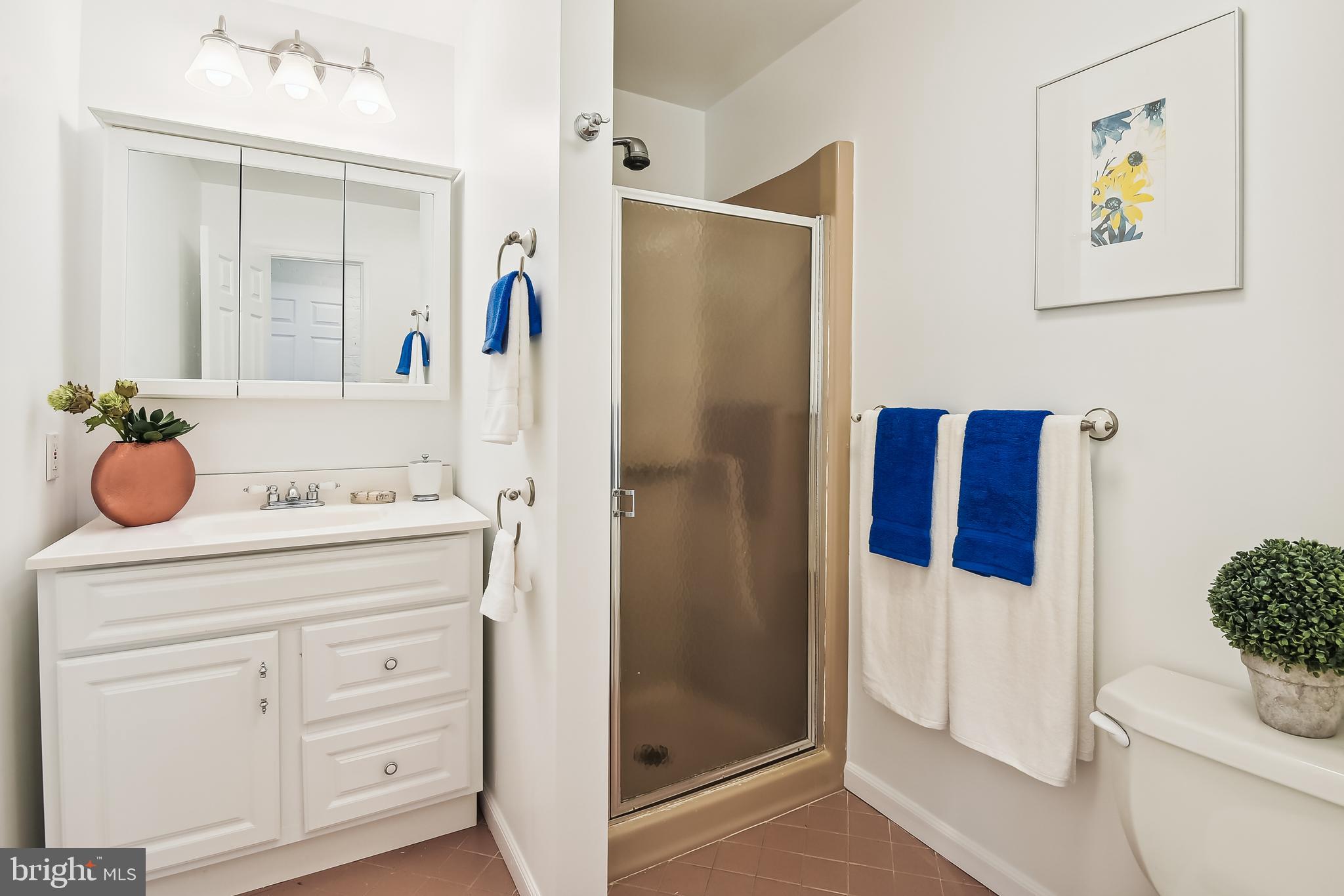 204 Russell Road Alexandria, VA 22301 - Photo 20 of 56 Bath on Main Level