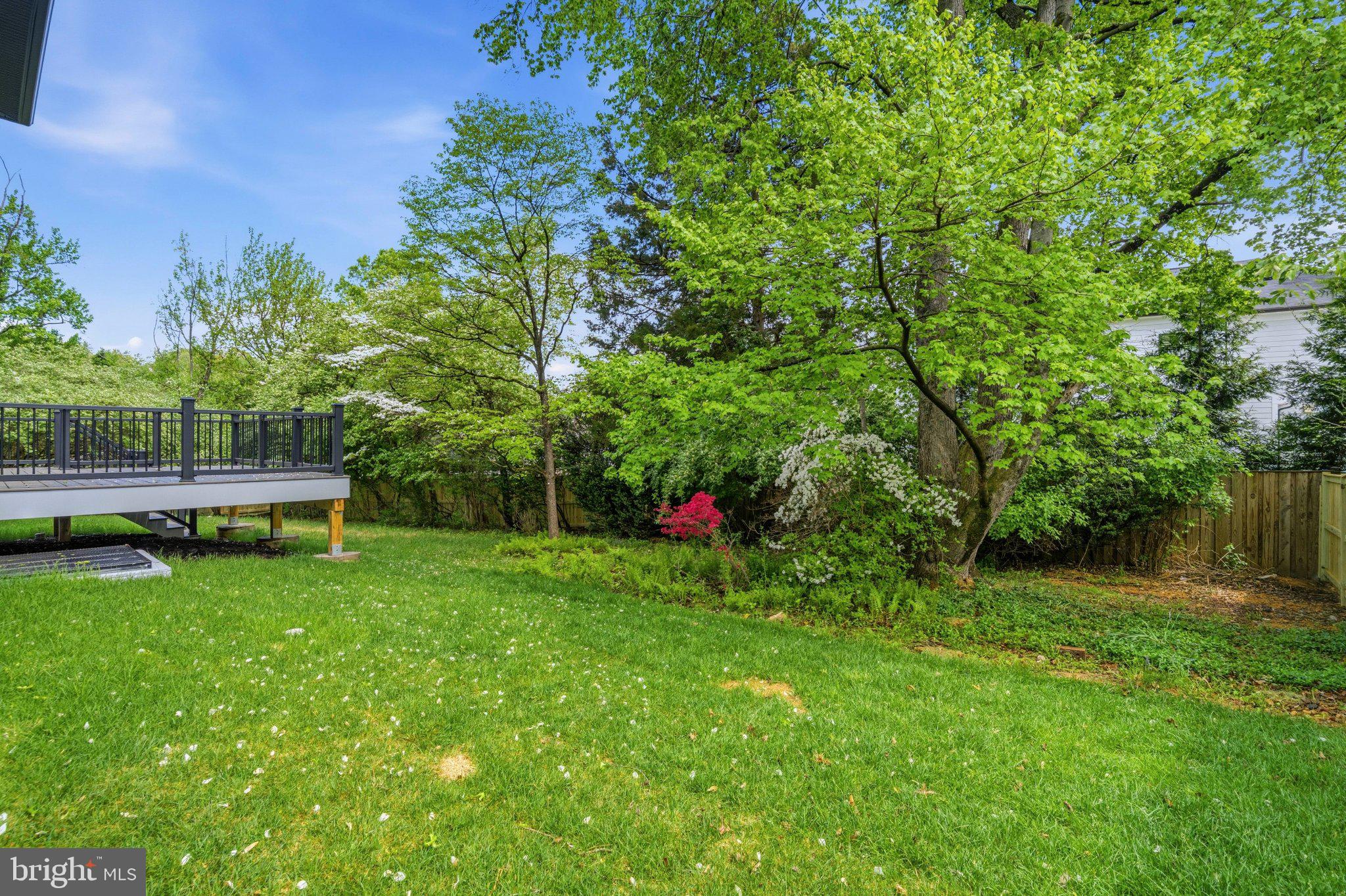 402 Marshall Road Southwest Vienna, VA 22180 - Photo 66 of 71 Lush green oasis with vibrant trees.