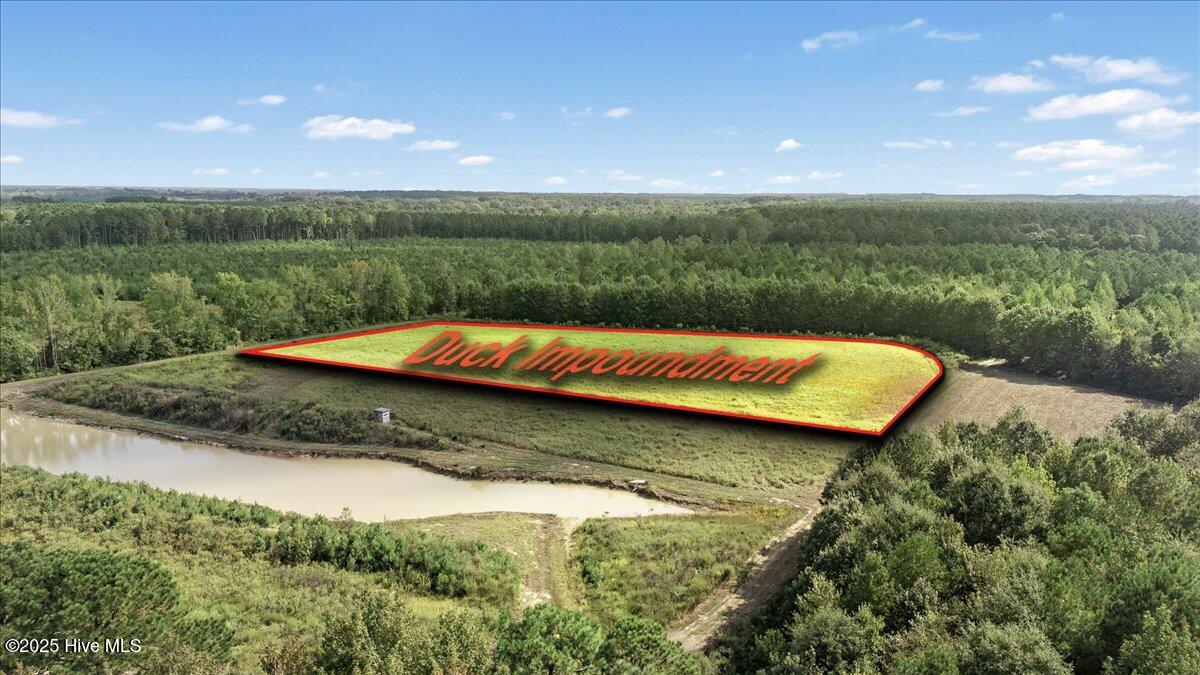 1354 Bryantown Road Rich Square, NC 27869 - Photo 18 of 25 10-Finished rish square (10 of 57)