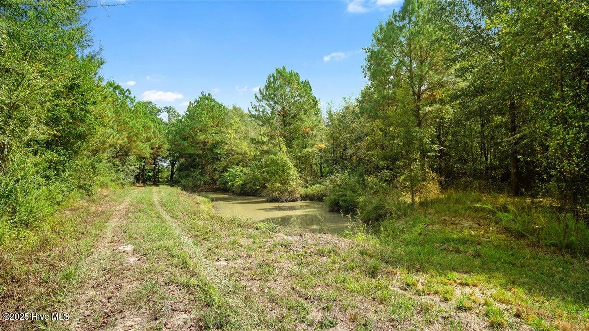 1354 Bryantown Road Rich Square, NC 27869 - Photo 20 of 25 56-Finished rish square (56 of 57)