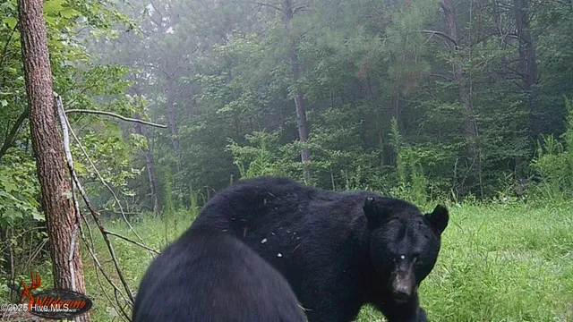 $695,000 | 1354 Bryantown Road, Rich Square, NC 27869