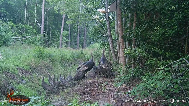 $695,000 | 1354 Bryantown Road, Rich Square, NC 27869