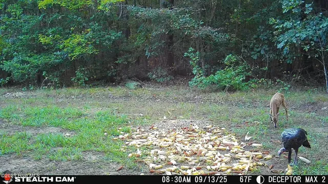 $695,000 | 1354 Bryantown Road, Rich Square, NC 27869