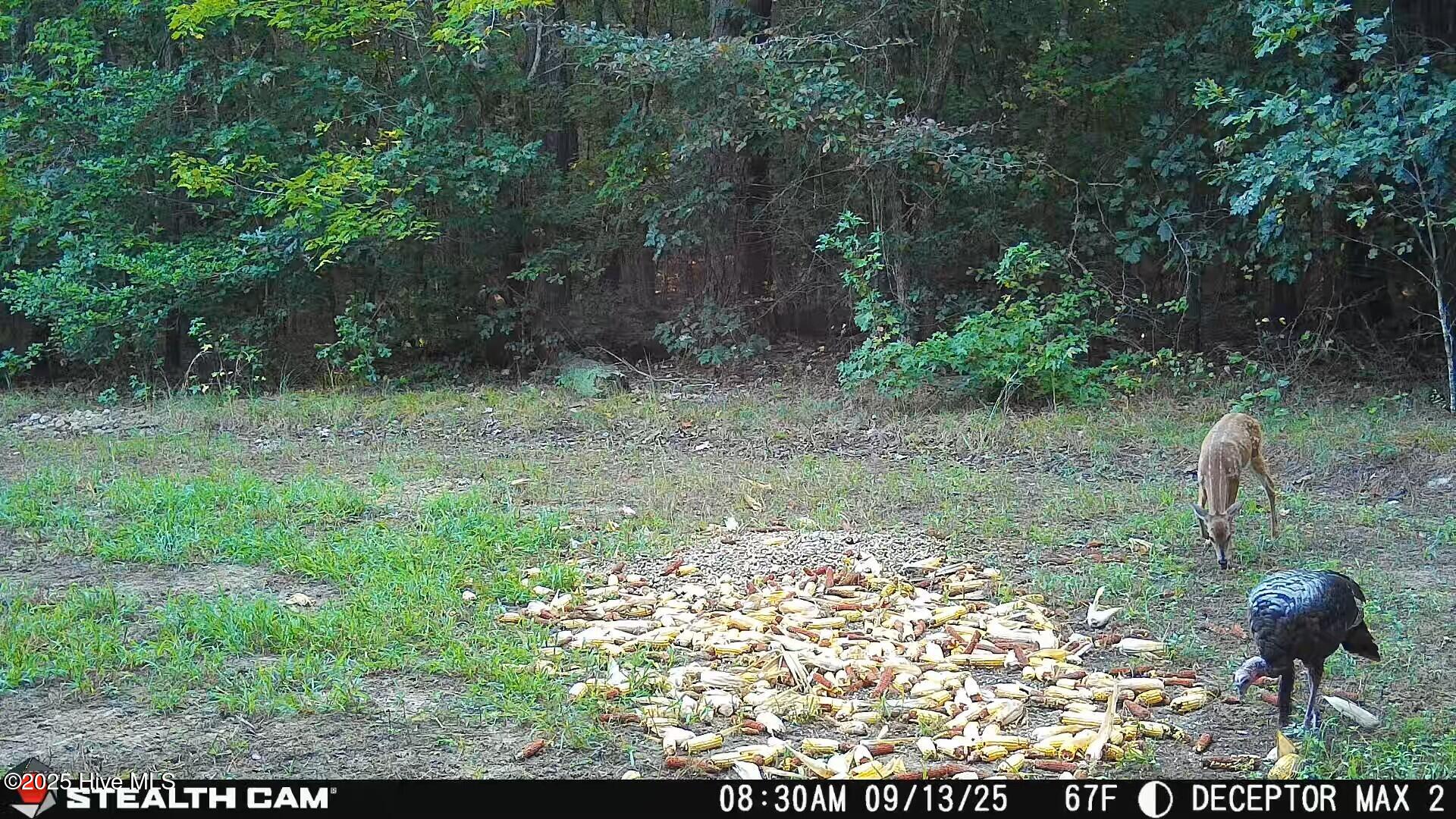 1354 Bryantown Road Rich Square, NC 27869 - Photo 23 of 25 4