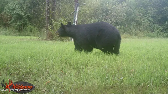 $695,000 | 1354 Bryantown Road, Rich Square, NC 27869