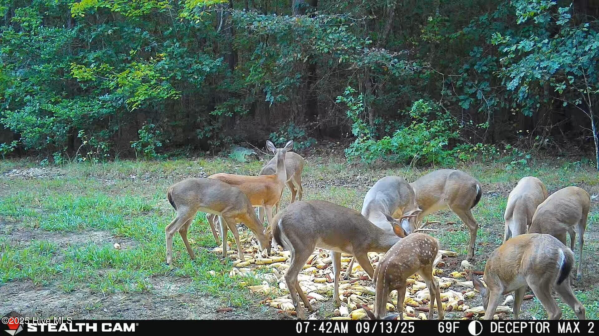 1354 Bryantown Road Rich Square, NC 27869 - Photo 25 of 25 3