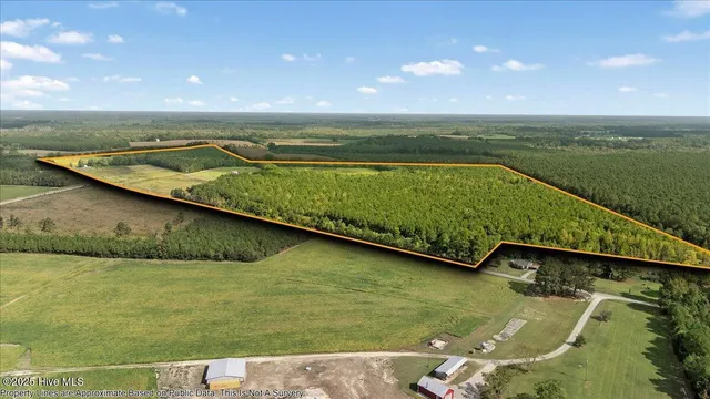 $695,000 | 1354 Bryantown Road, Rich Square, NC 27869