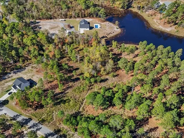 a view of a garden with plants