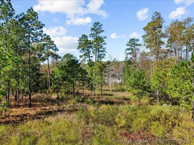 a view of a house with a tree