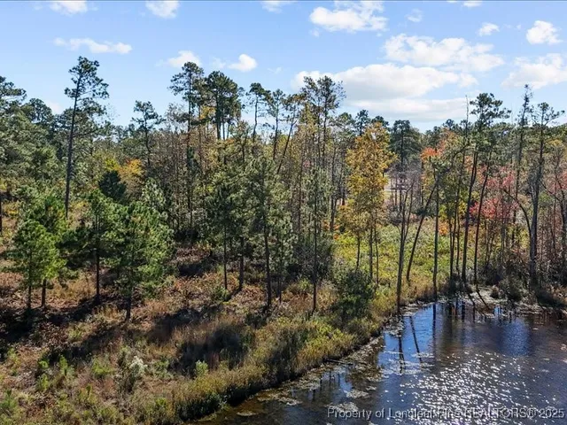 a view of a yard with plants and trees