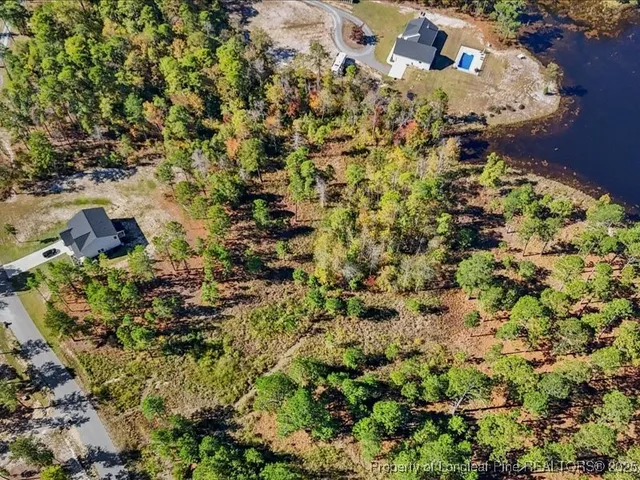 a close up of a plant in a garden
