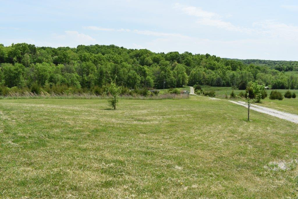 151 Snow Road Cynthiana, KY 41031 - Photo 38 of 40 Photo 38