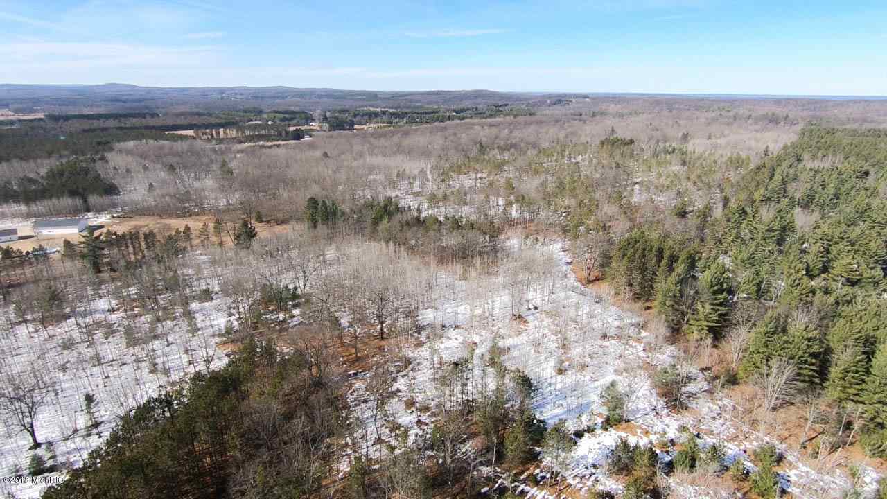 37 1/2 37 1/2 Road Manton, MI 49663 - Photo 26 of 27