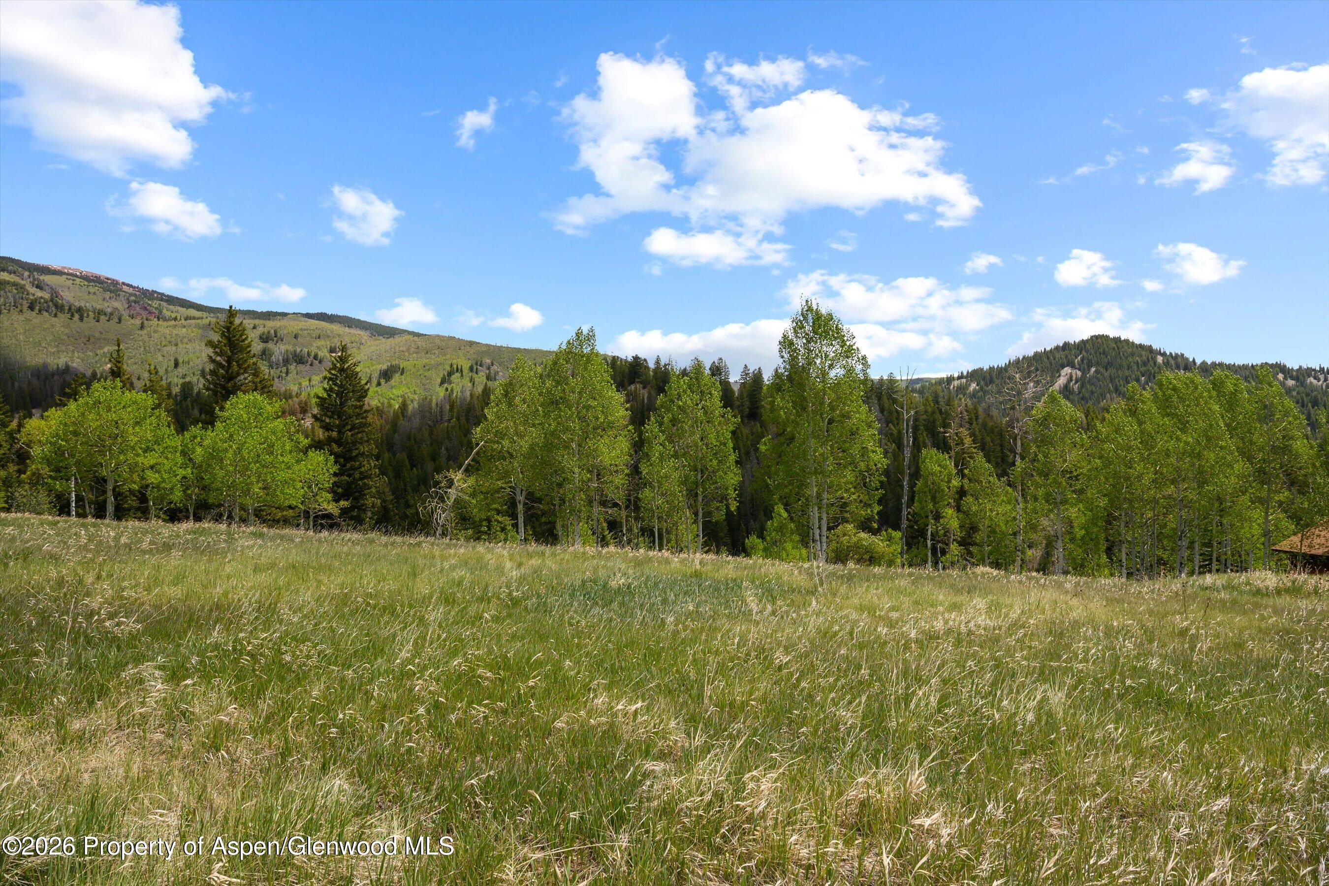 1239 McLaughlin Lane Basalt, CO 81621 - Photo 17 of 21 19-1239McLaughlin_26052119