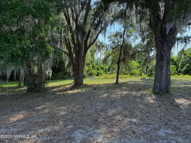 a view of outdoor space with trees