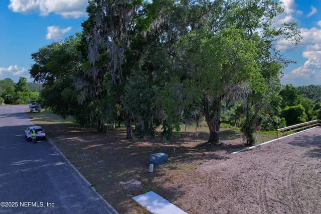 a view of a park with large trees