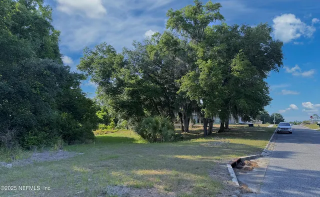 a view of backyard with green space