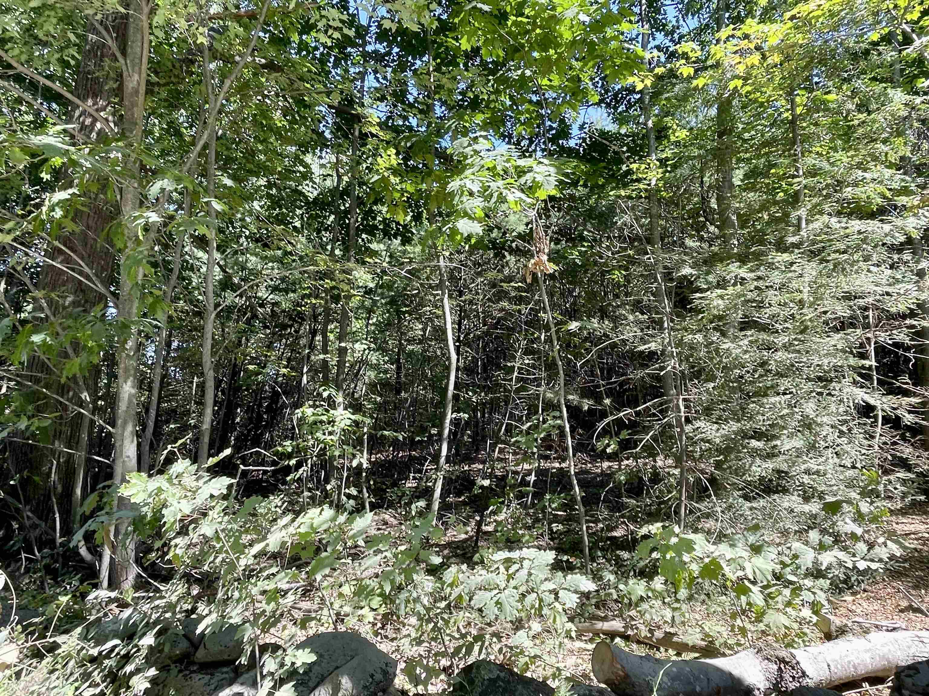 15-3 North Road Deering, NH 03244 - Photo 5 of 5