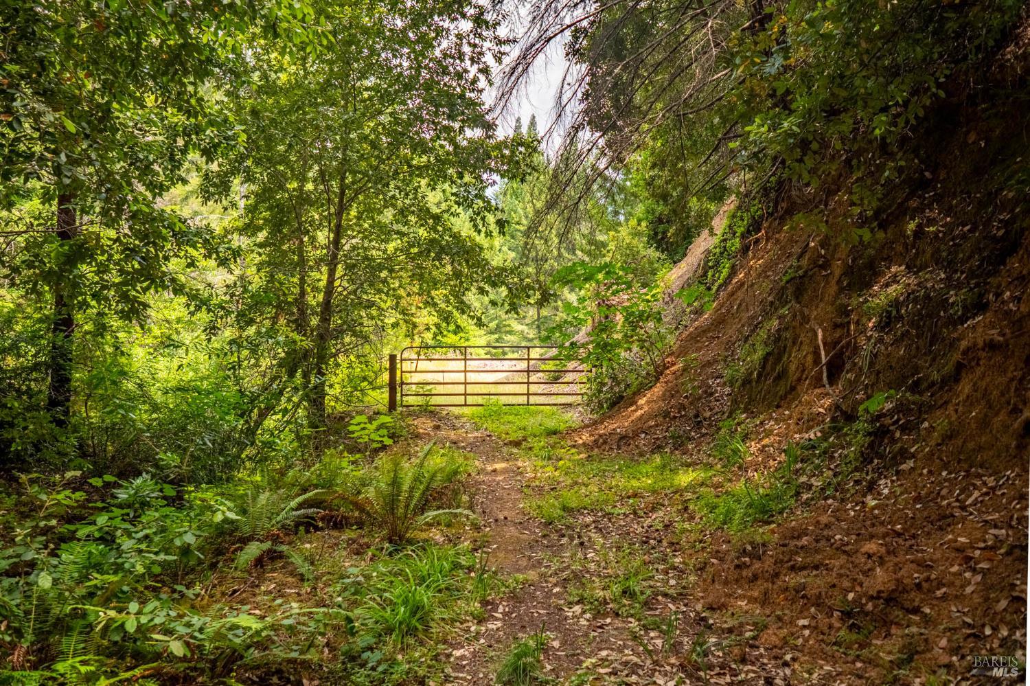 44150 Nash Mill Road Philo, CA 95466 - Photo 24 of 29 a view of a house with a tree