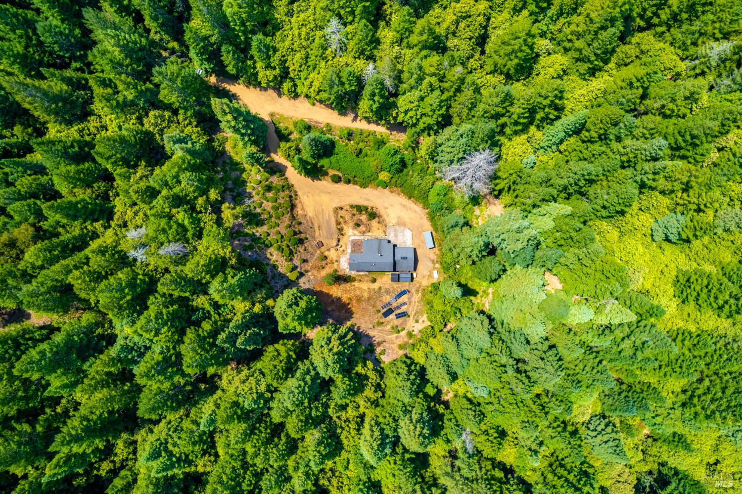 44150 Nash Mill Road Philo, CA 95466 - Photo 25 of 29 a picture of a tree