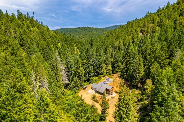 a view of a green field in a field