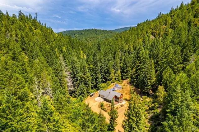 a view of a green field in a field
