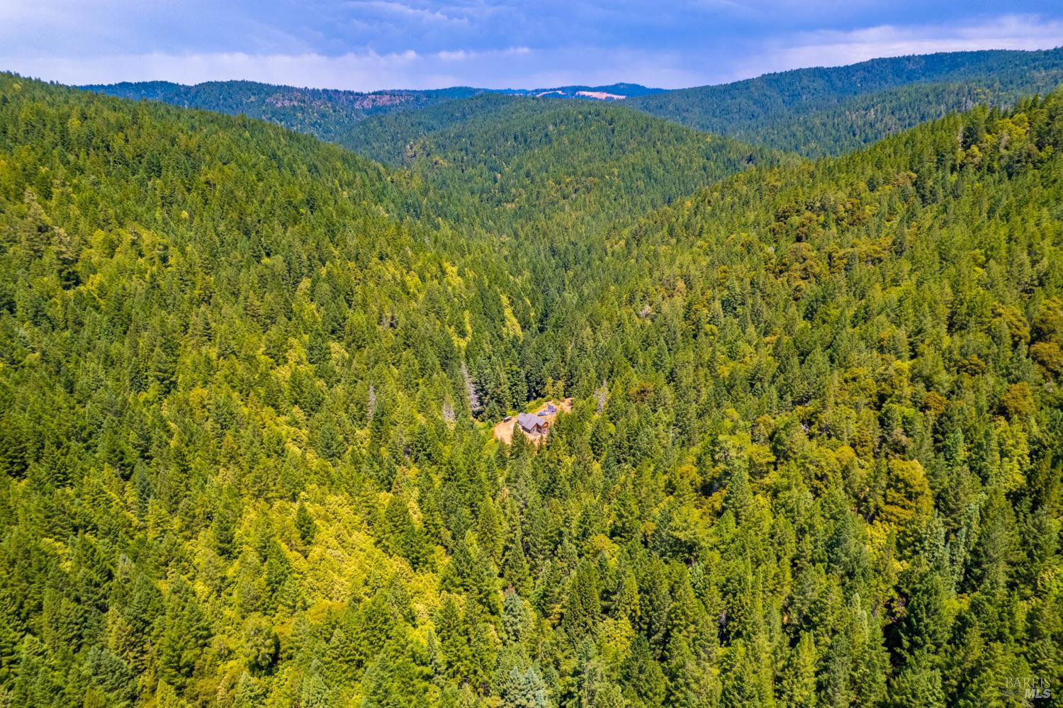 44150 Nash Mill Road Philo, CA 95466 - Photo 28 of 29 a view of a lush green forest with a mountain in the background