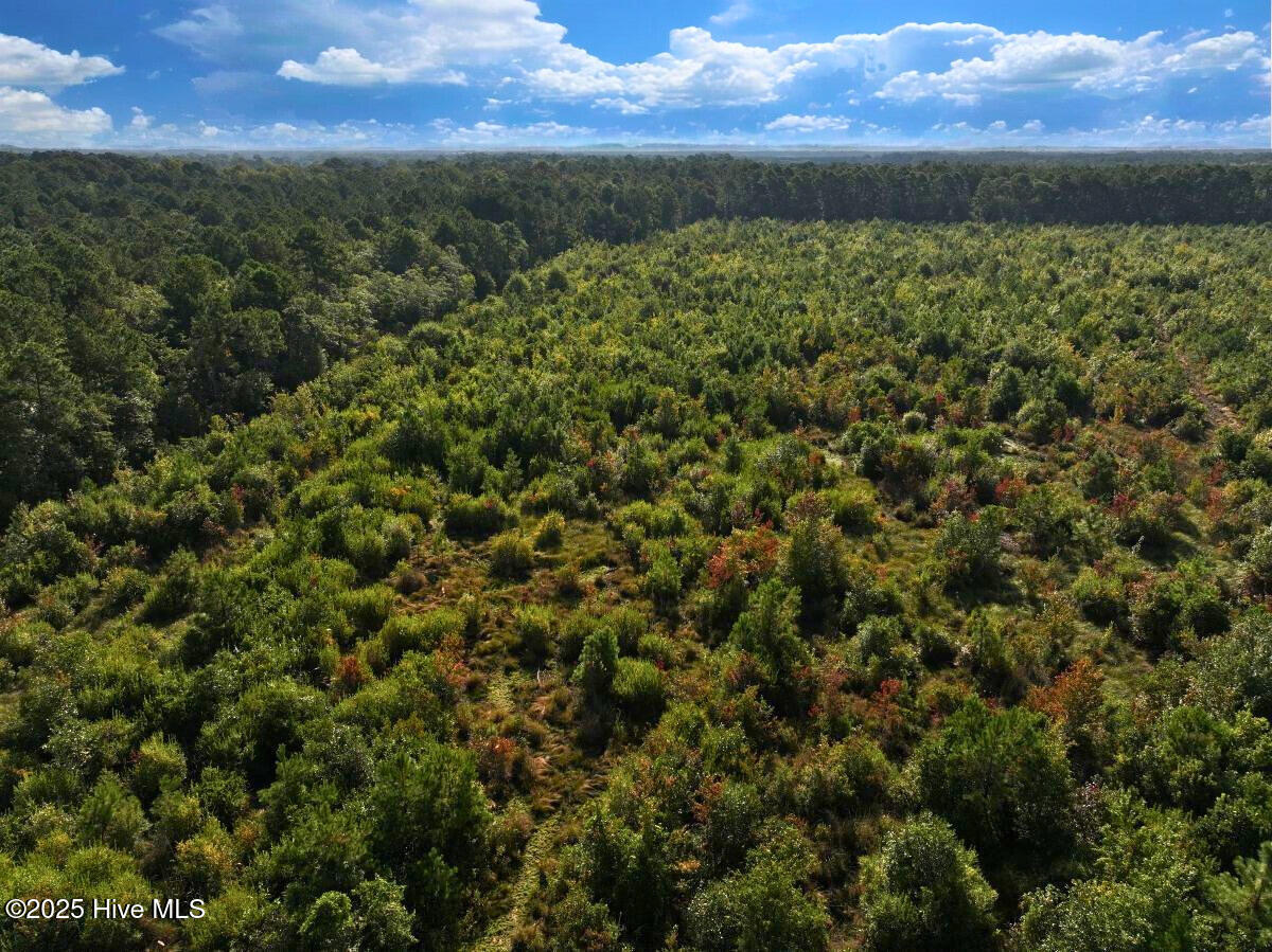 0 Institute Road Kinston, NC 28504 - Photo 11 of 41 11