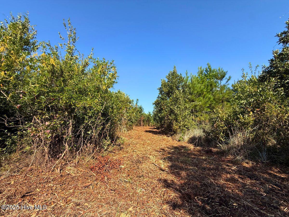 0 Institute Road Kinston, NC 28504 - Photo 14 of 41 14